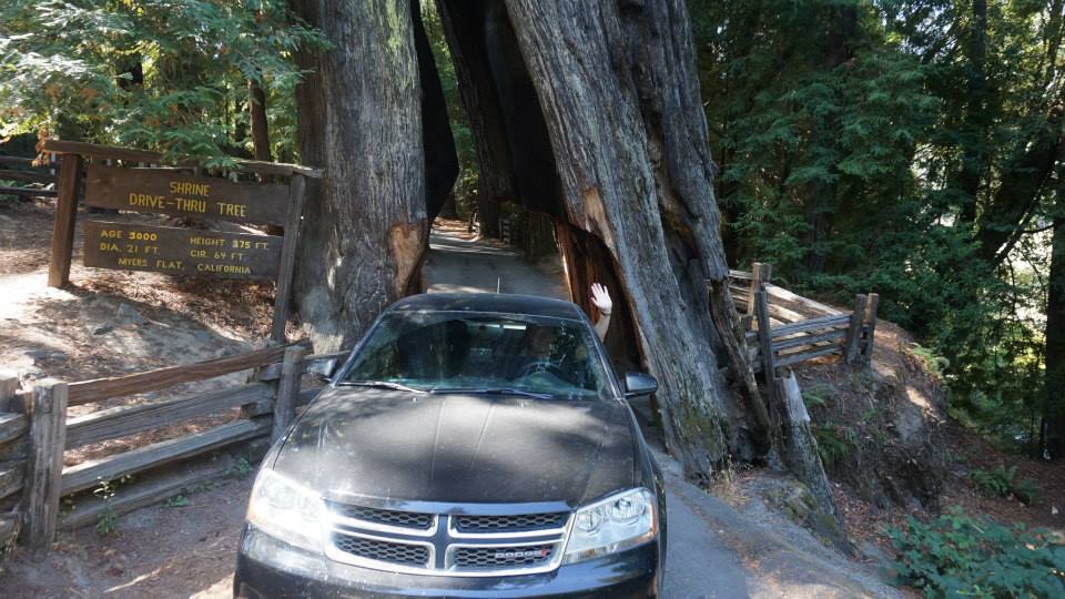 comment devenir efficace dans la vie