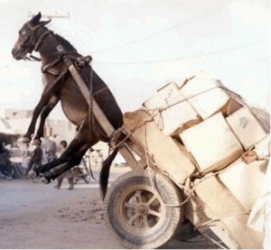 photos de vacances