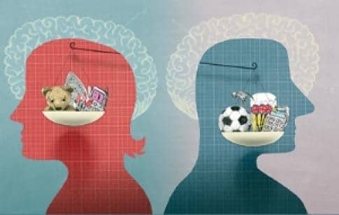 cerveau et sexe